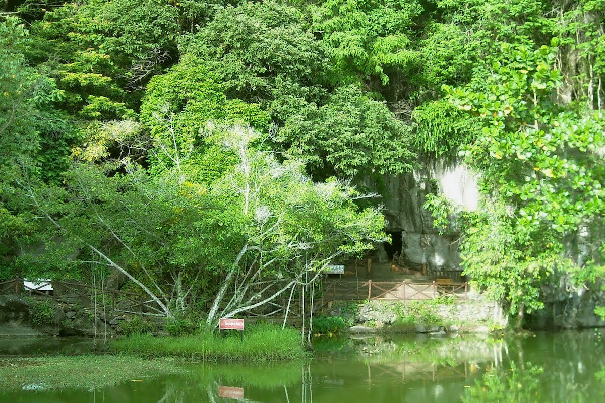 Bukit Kubu Amenity Forest (Hutan Lipur Bukit Kubu))