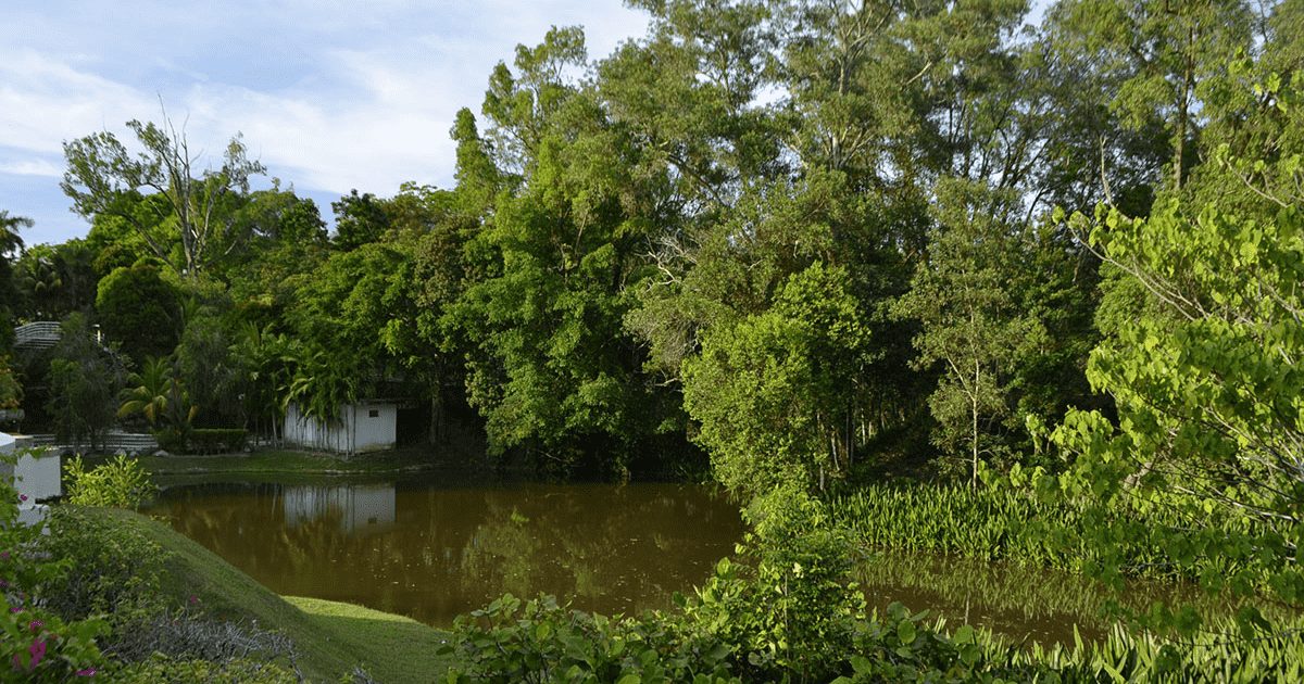 labuan botanical gardens